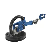 Falcsiszoló zsiráf